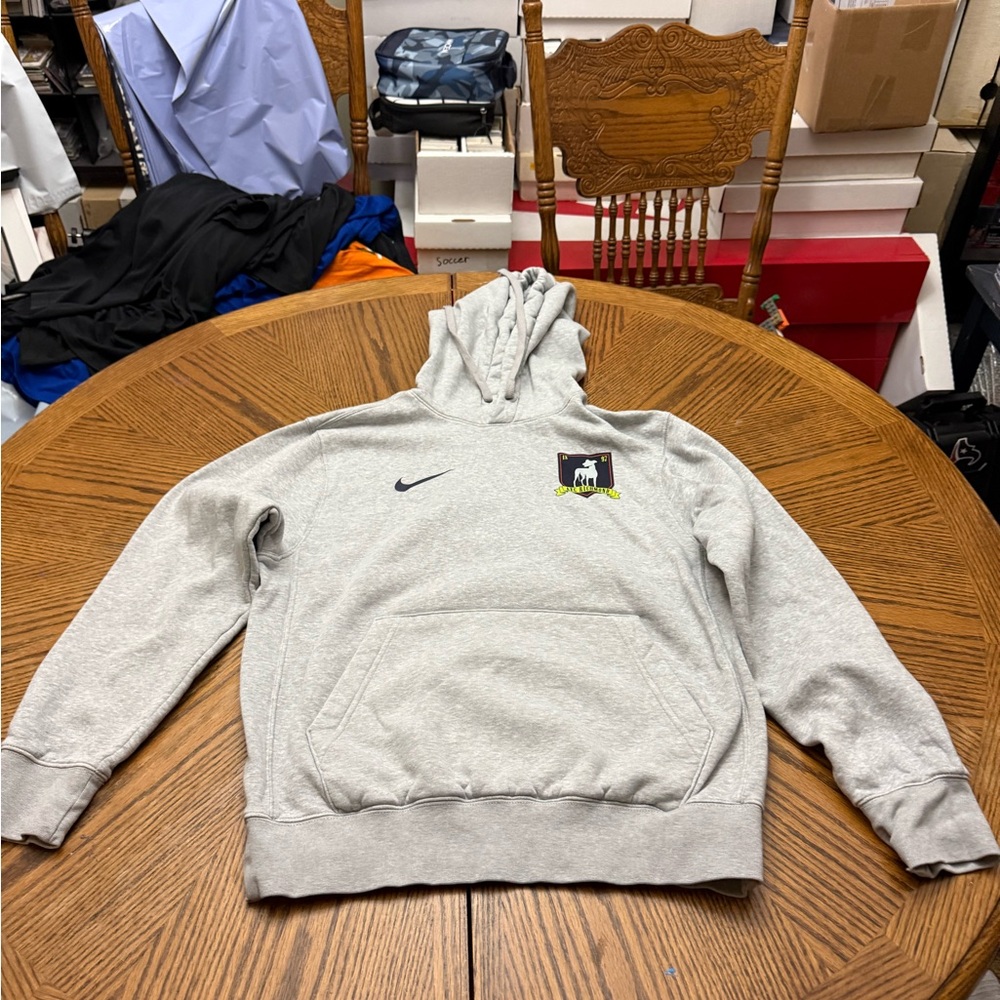 Nike Light Gray Pullover Hoodie with Small Logo